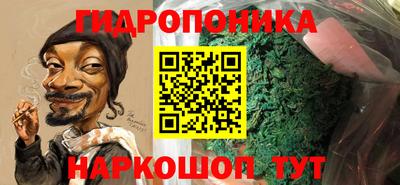 дживик Сланцы