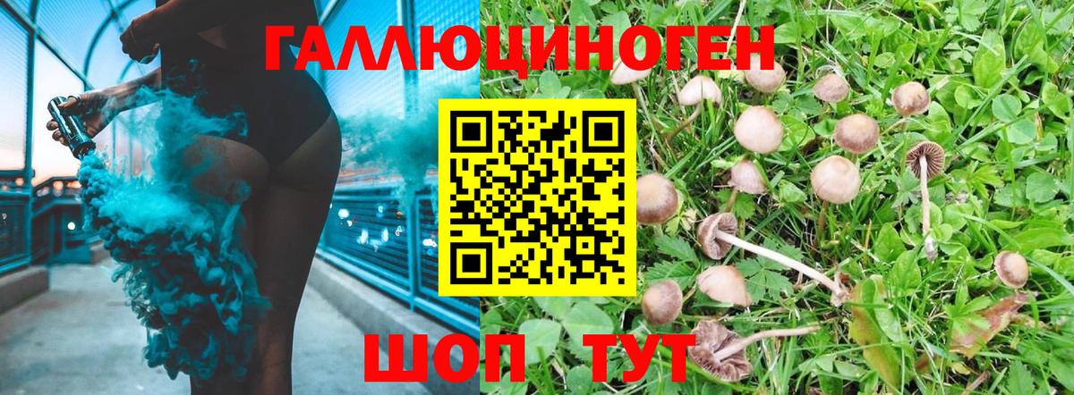 Псилоцибиновые грибы Magic Shrooms Новочебоксарск